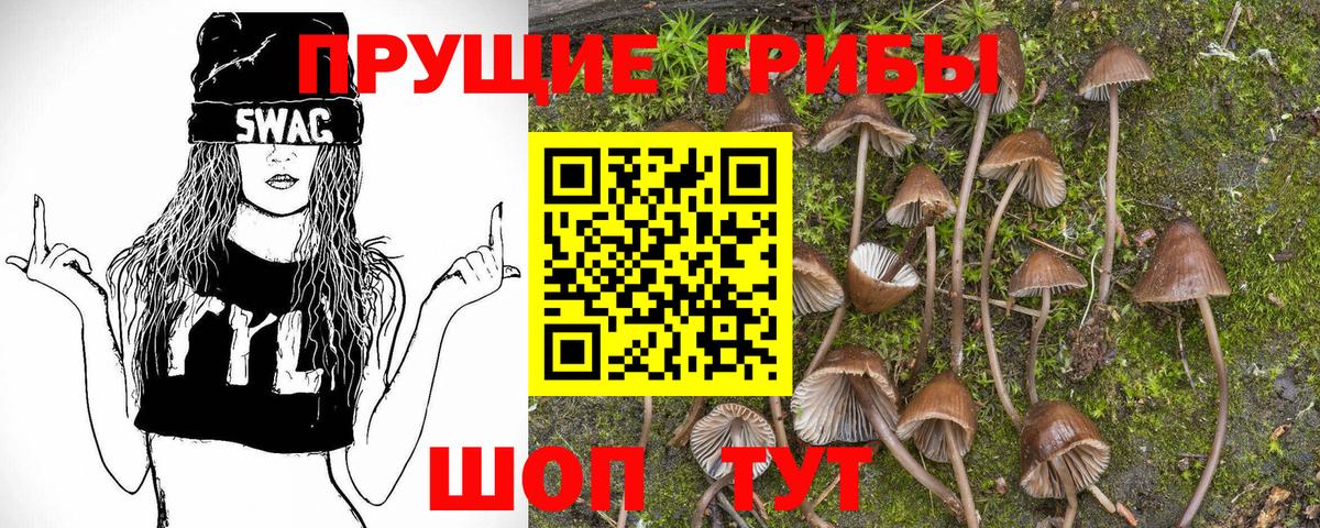 Галлюциногенные грибы мицелий  Вход с VPN  Можга 